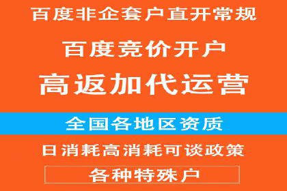 某电商平台的SEM策略与效果展示